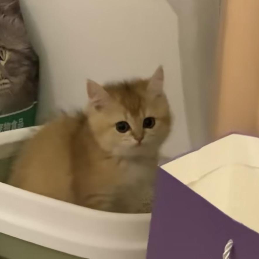 禄