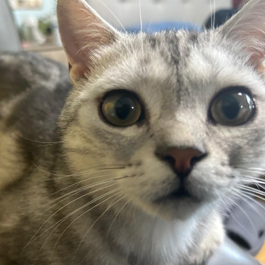 小海今天吃什么