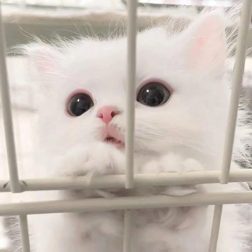 未眠