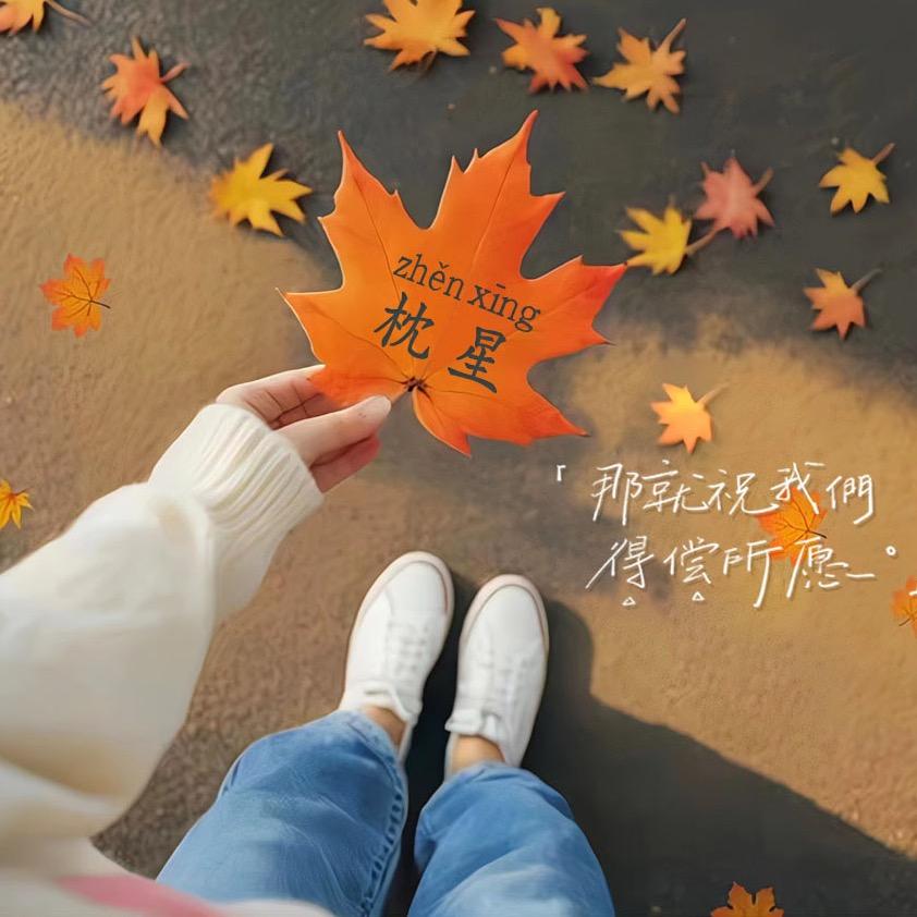 枕星💕
