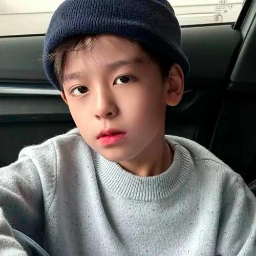 ㅤㅤㅤㅤㅤㅤ ㅤㅤㅤㅤㅤㅤ🐾