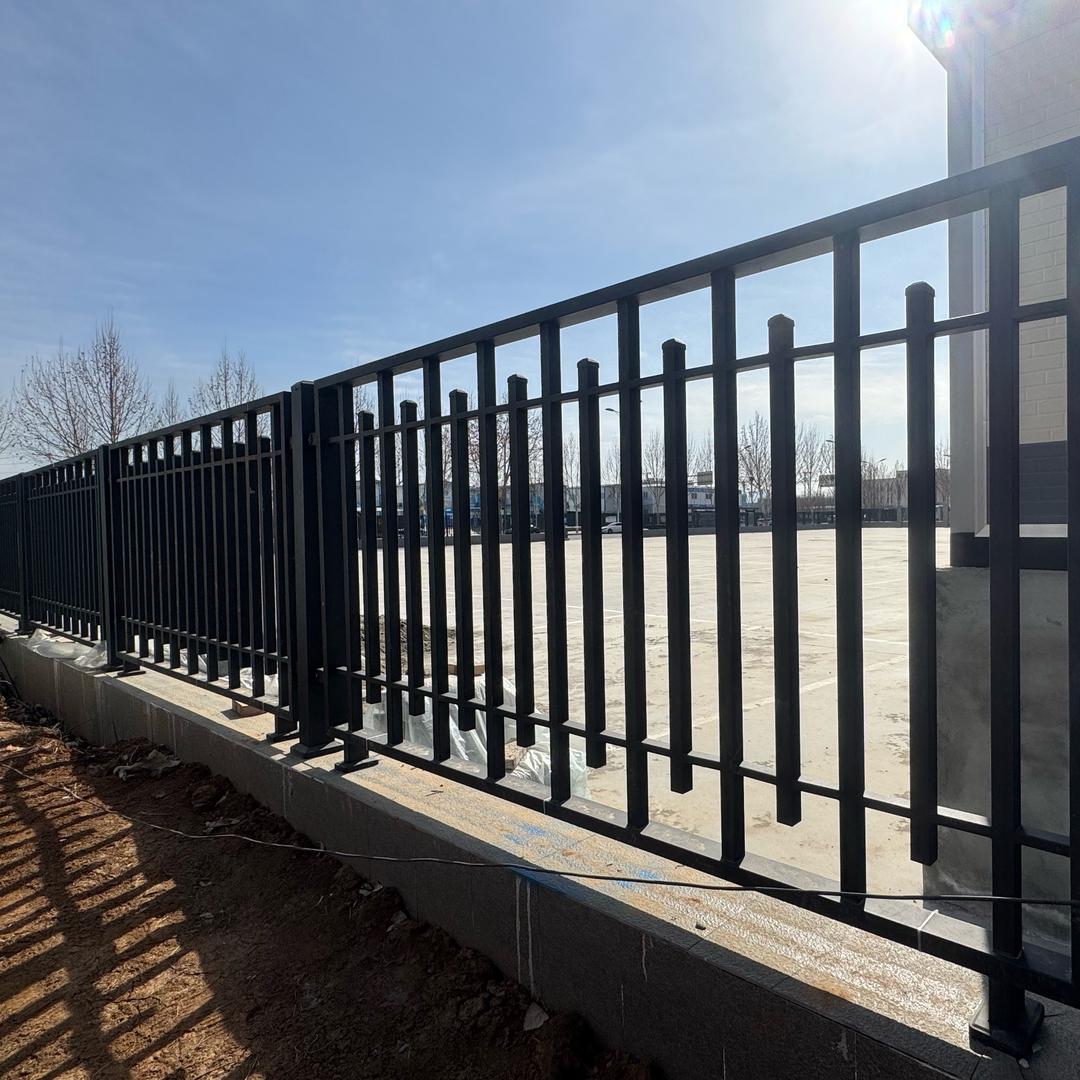 专业护栏生产厂家D1