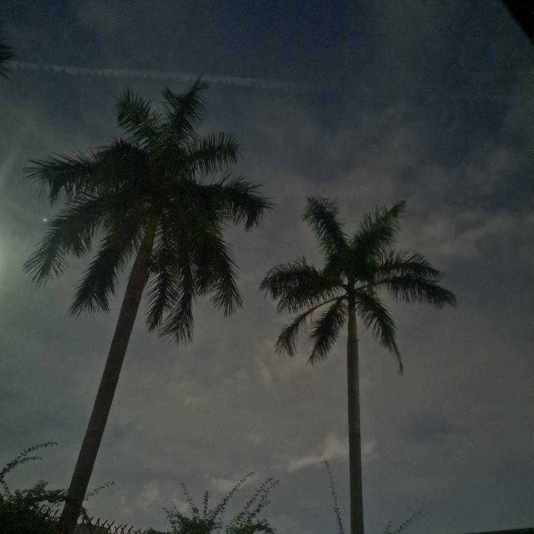 OPPO东莞道滘体验店