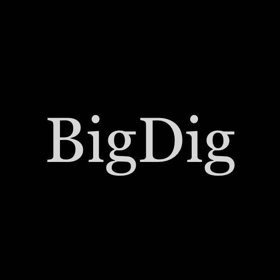 BigDig
