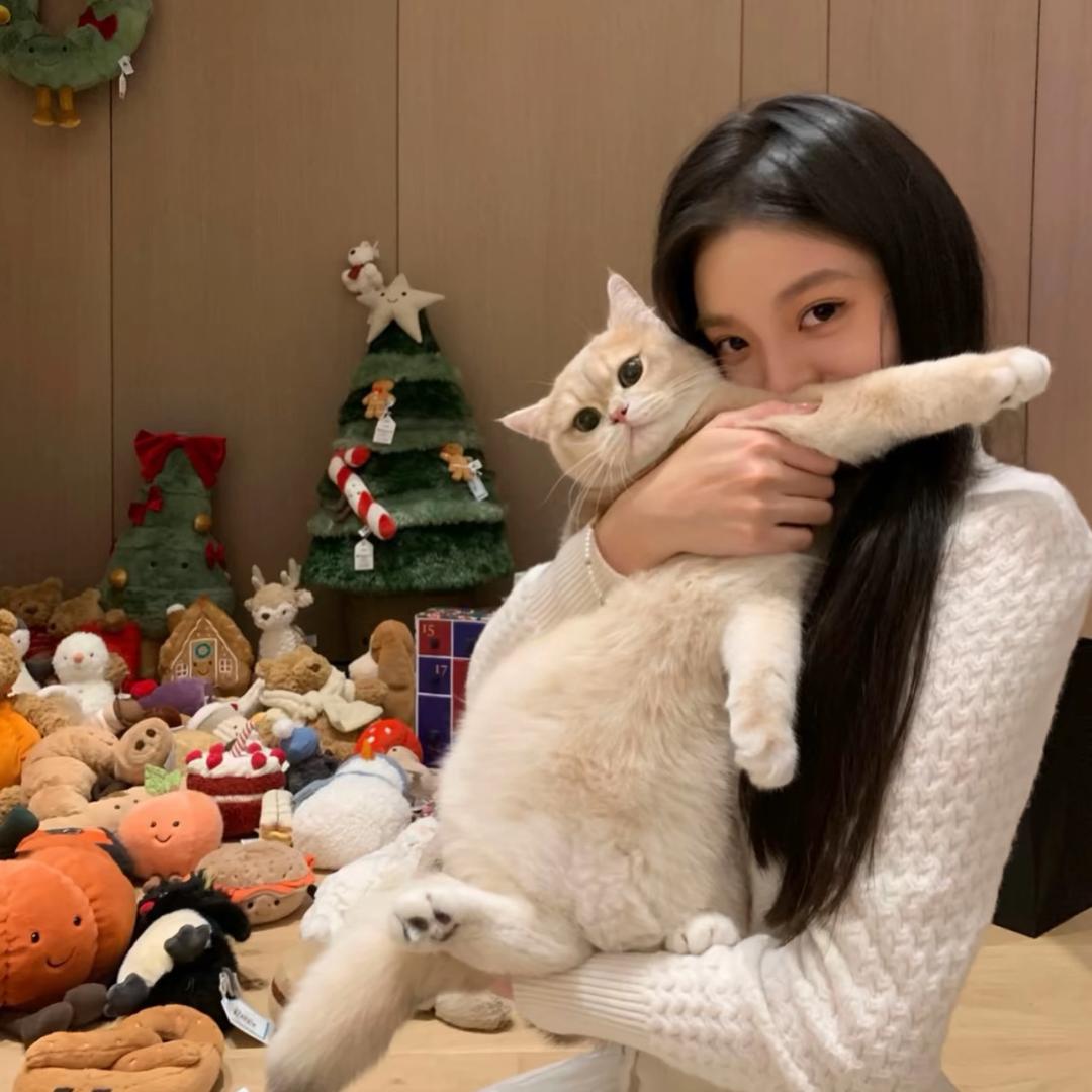 ㅤㅤ ㅤㅤ