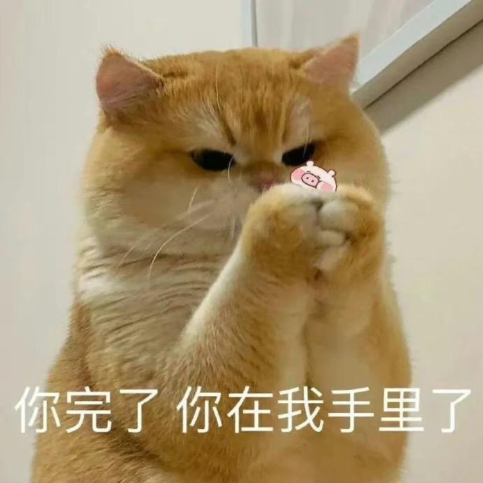 芝旭Rusty🔮（华塔认证版）