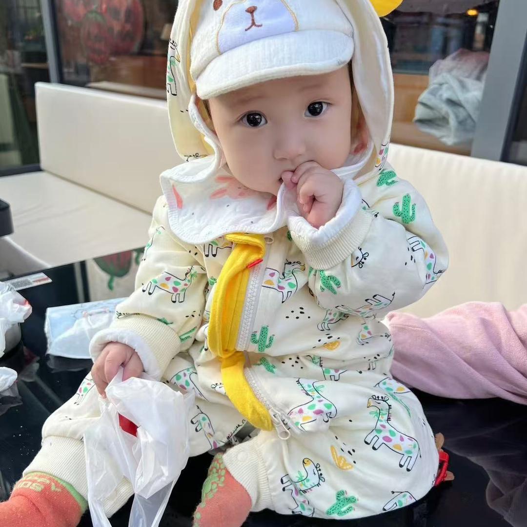 小毛豆成长记
