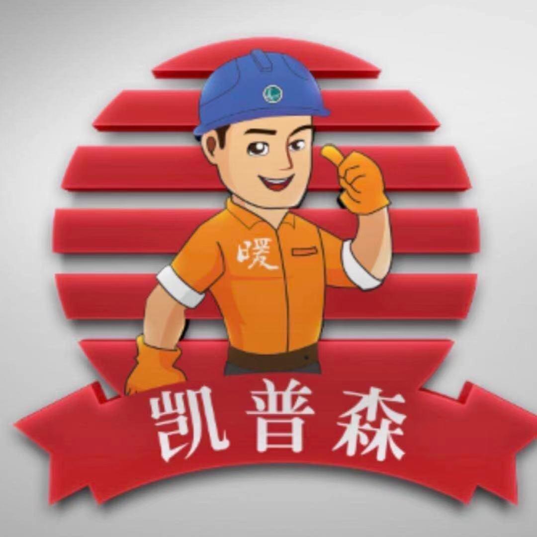 凯普森电热锅炉官网