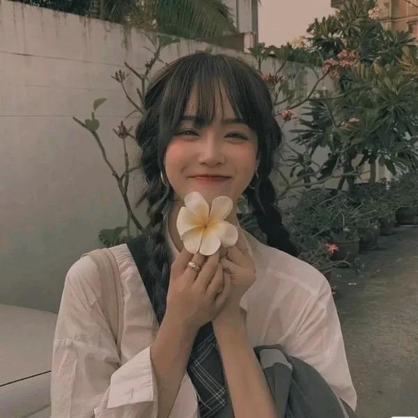 菘鸢商务
