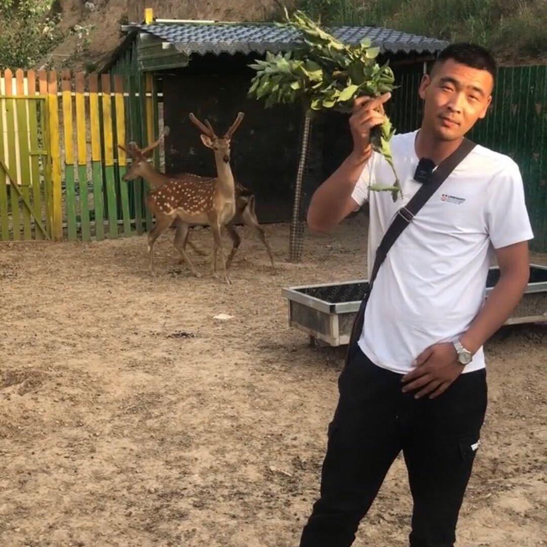 阿泽梅花鹿养殖厂