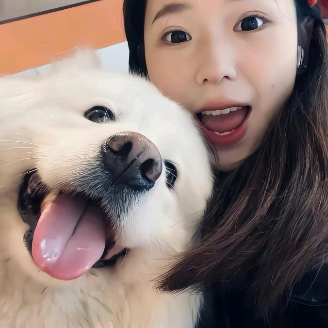 是佳