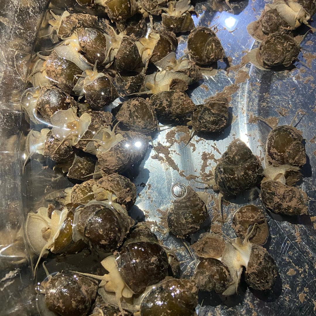小慧🐟爱吃鱼