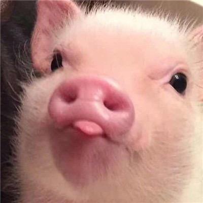.西意欧.