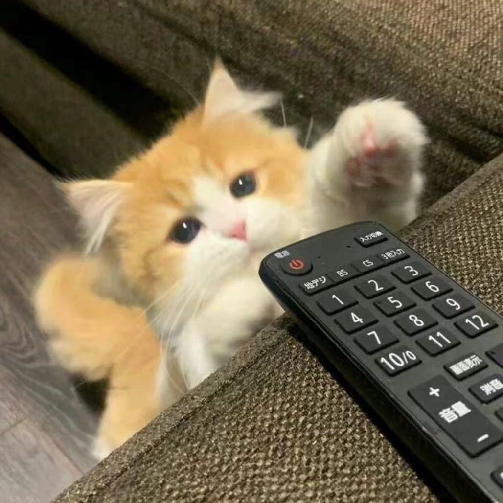 小程©