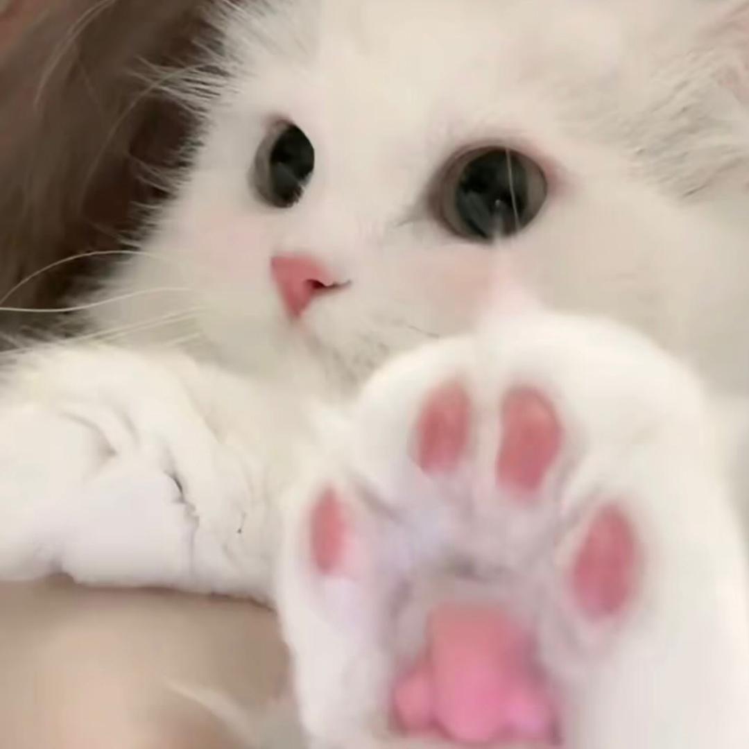 就爱生闷气^