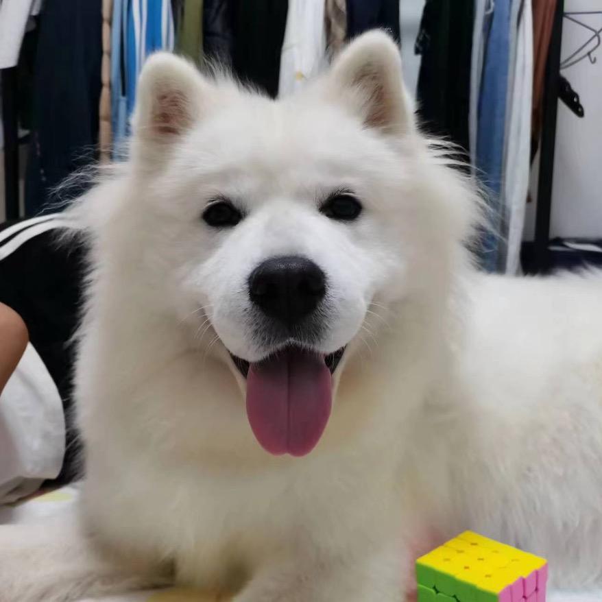 @温馨一家人