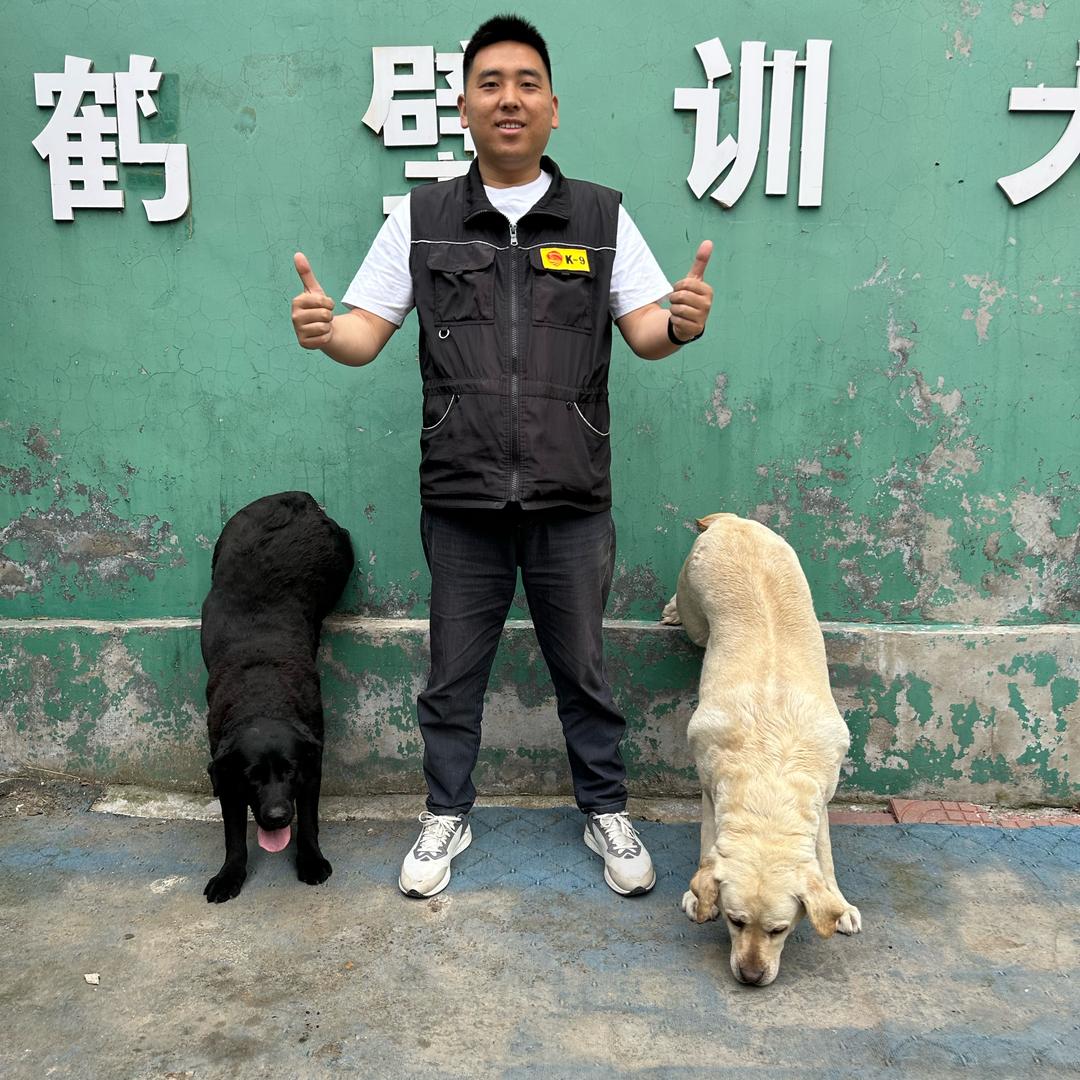 训犬养犬杨教练