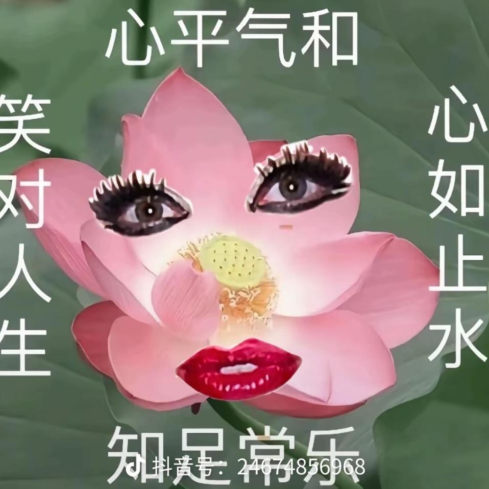 喜结善缘