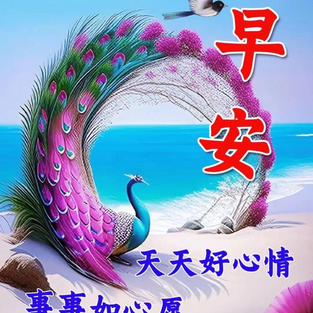 紫玫瑰