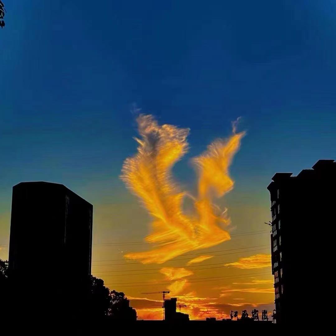 金涛菜煲官方号