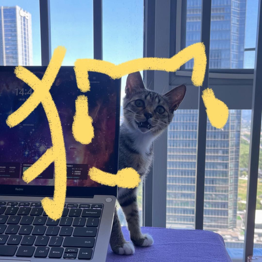 岁月童话