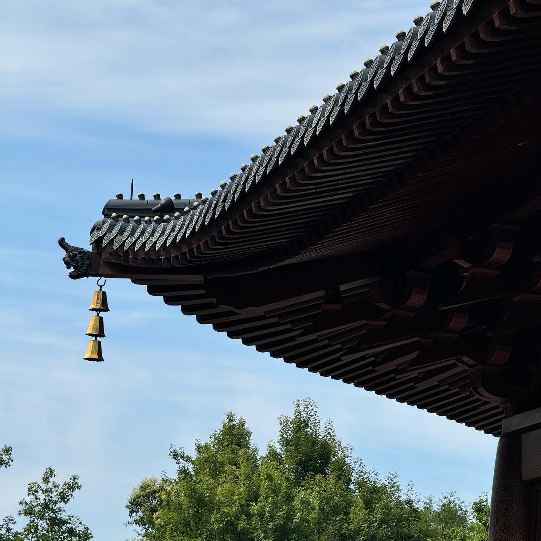 旅行頻道（油管精選）