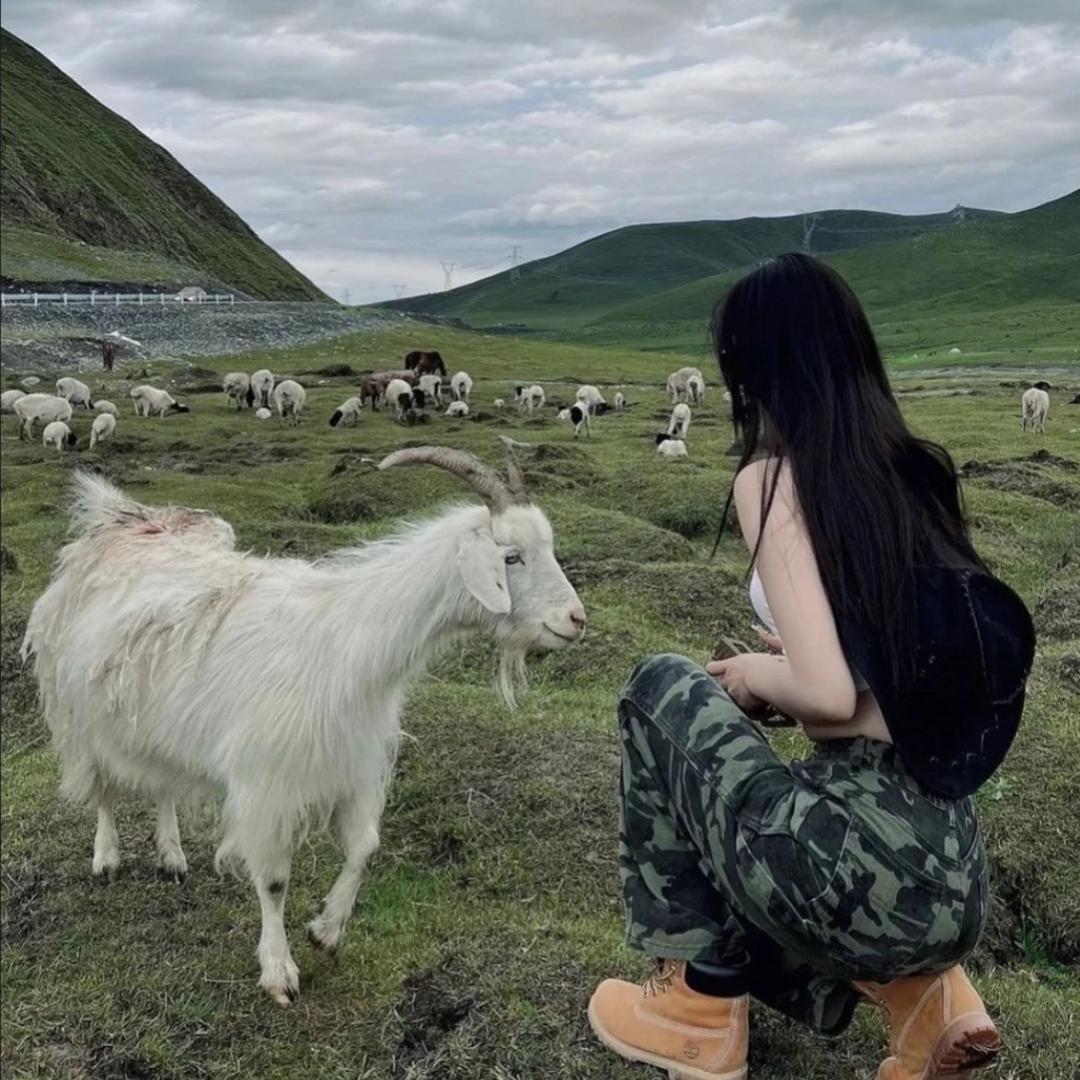 牛牛豆🐮