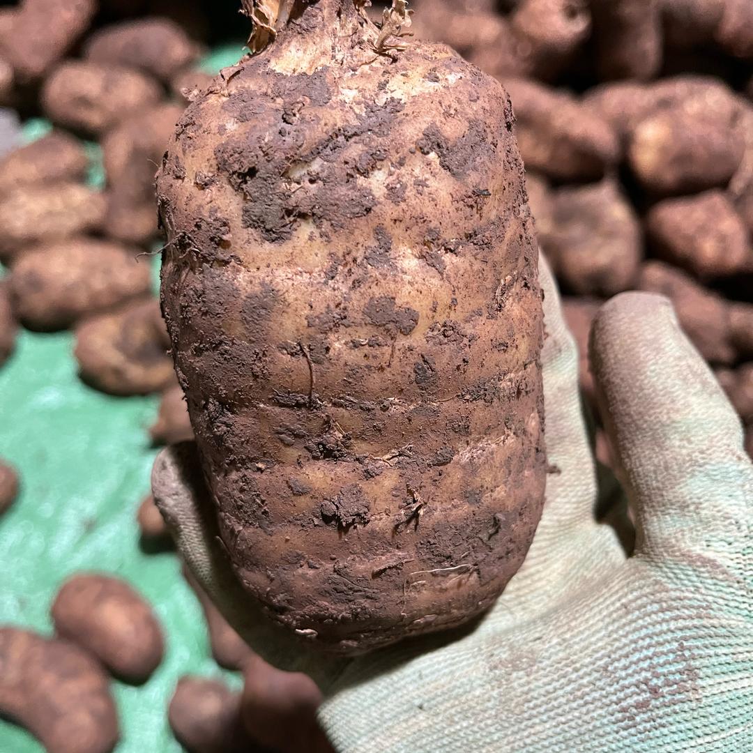 宣诺特产经营部