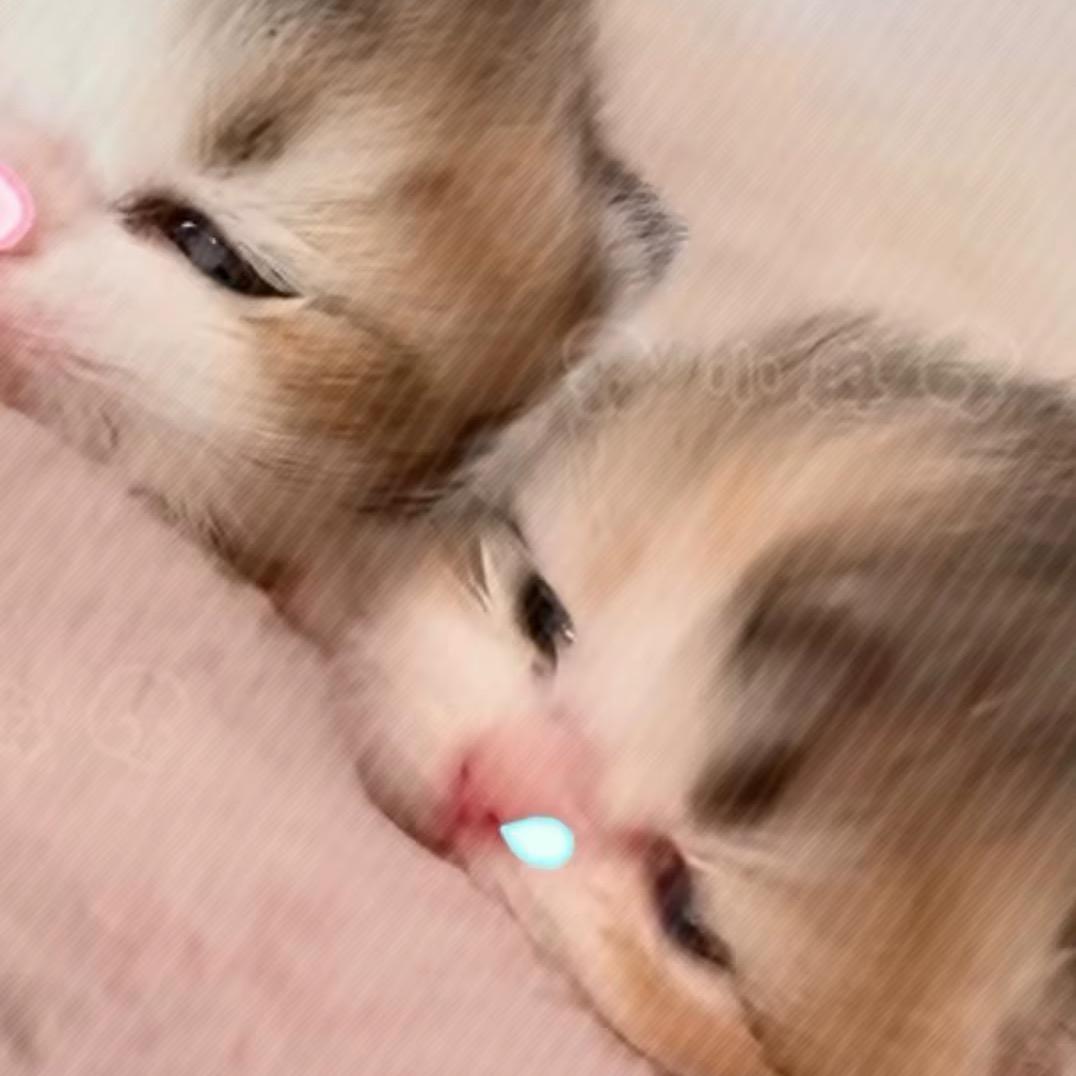 󠀀󠀀󠀀󠀀󠀀你怎么又哭了