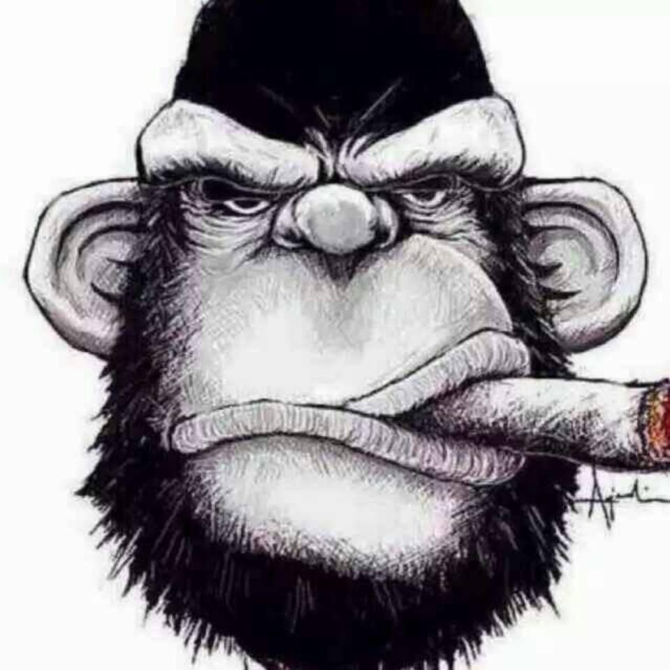 诺音酒吧