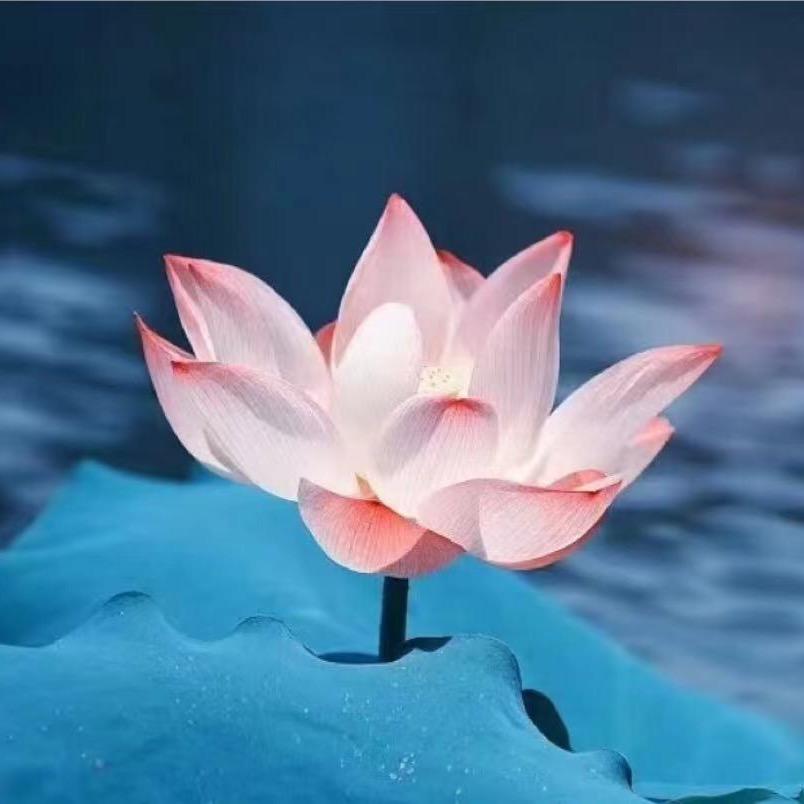 .顺顺顺