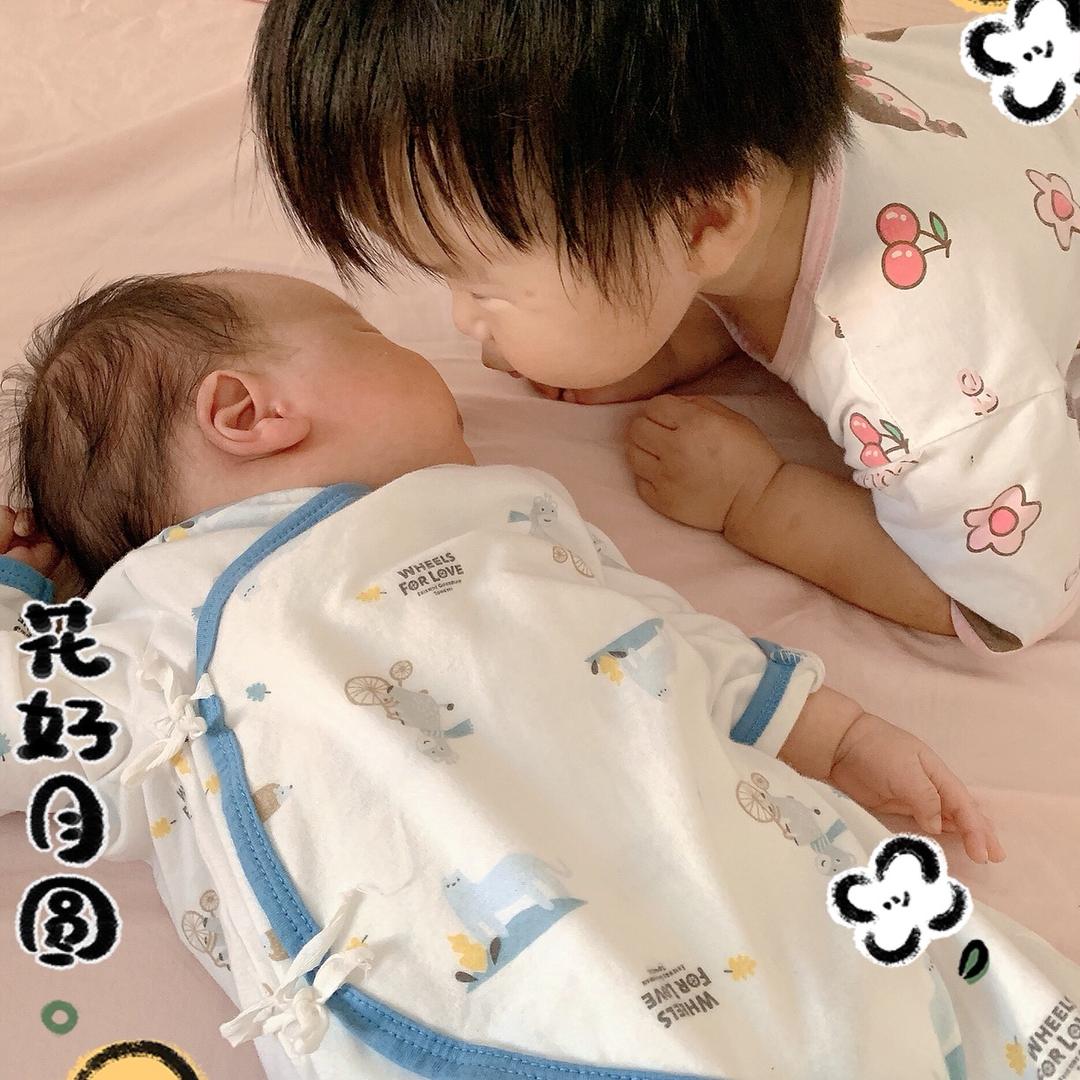 猪猪和牛牛的故事