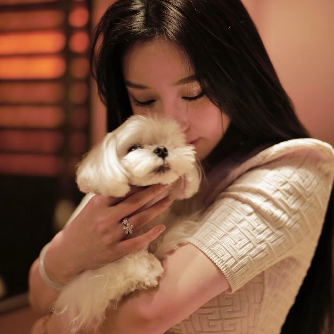 樱桃小羊子🐑.