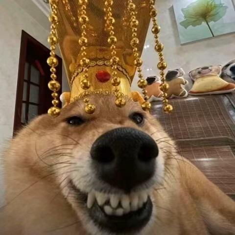 参见大王