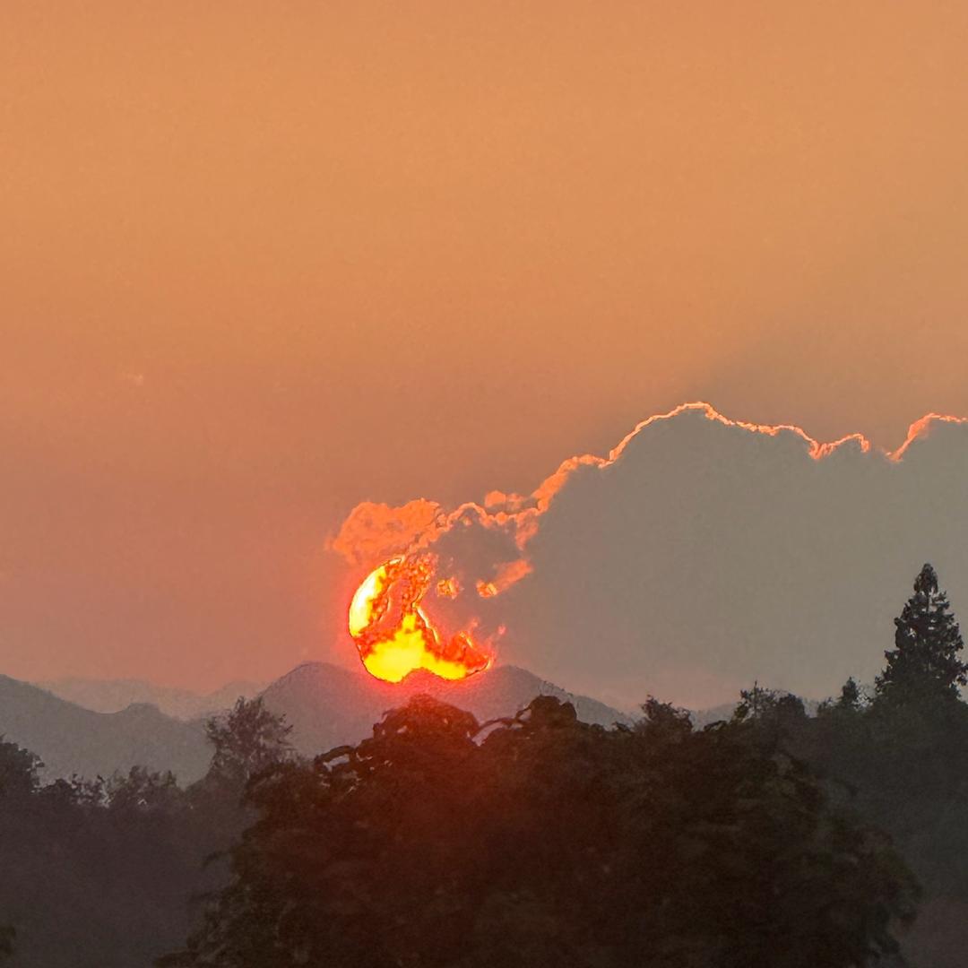 亮星星💫