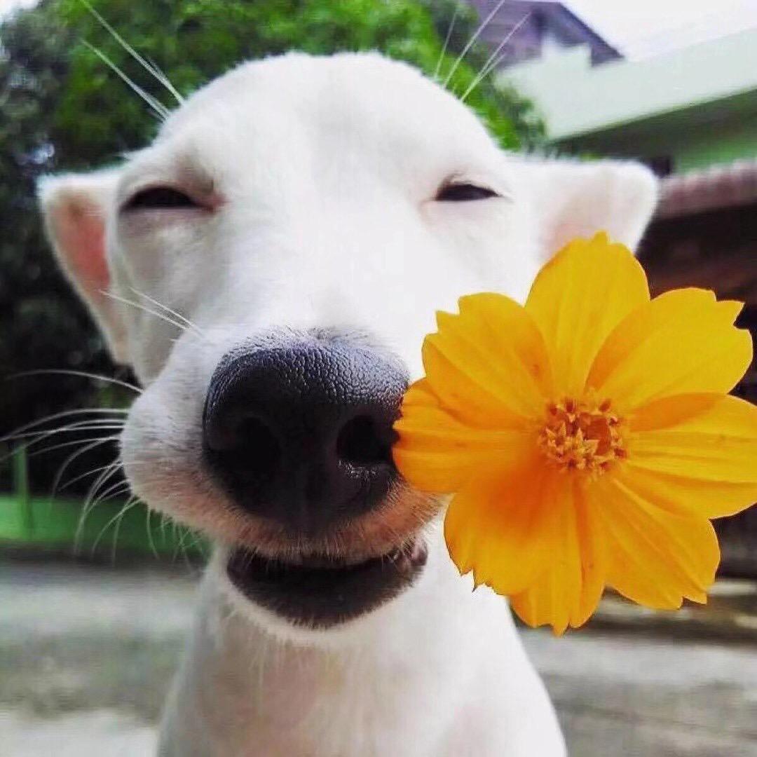 当打之年🪁