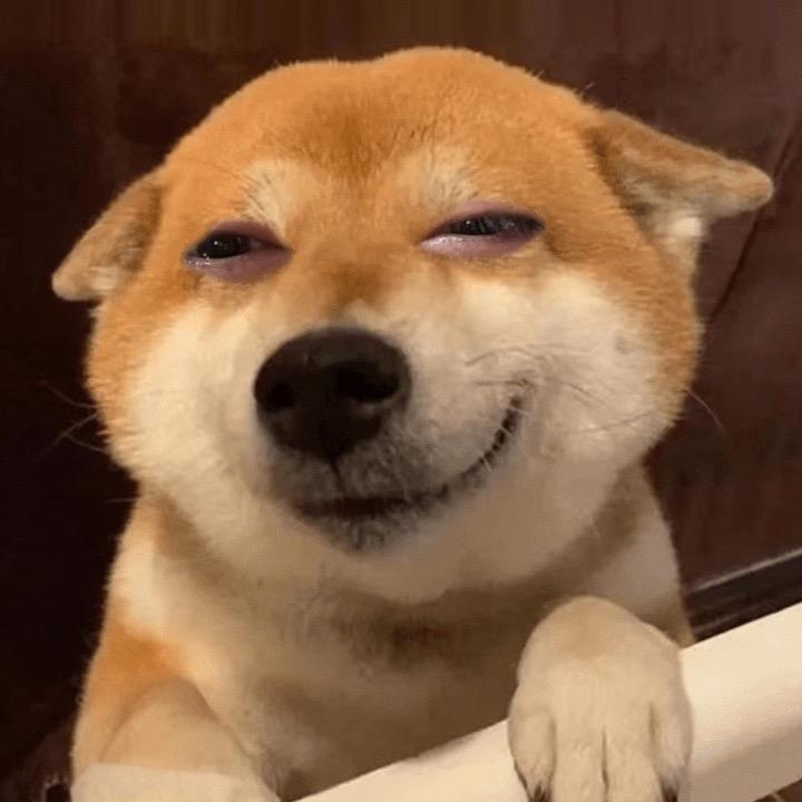 搞点夜点心778