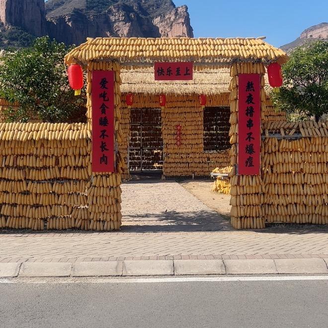 9.座18座.55座客车出租