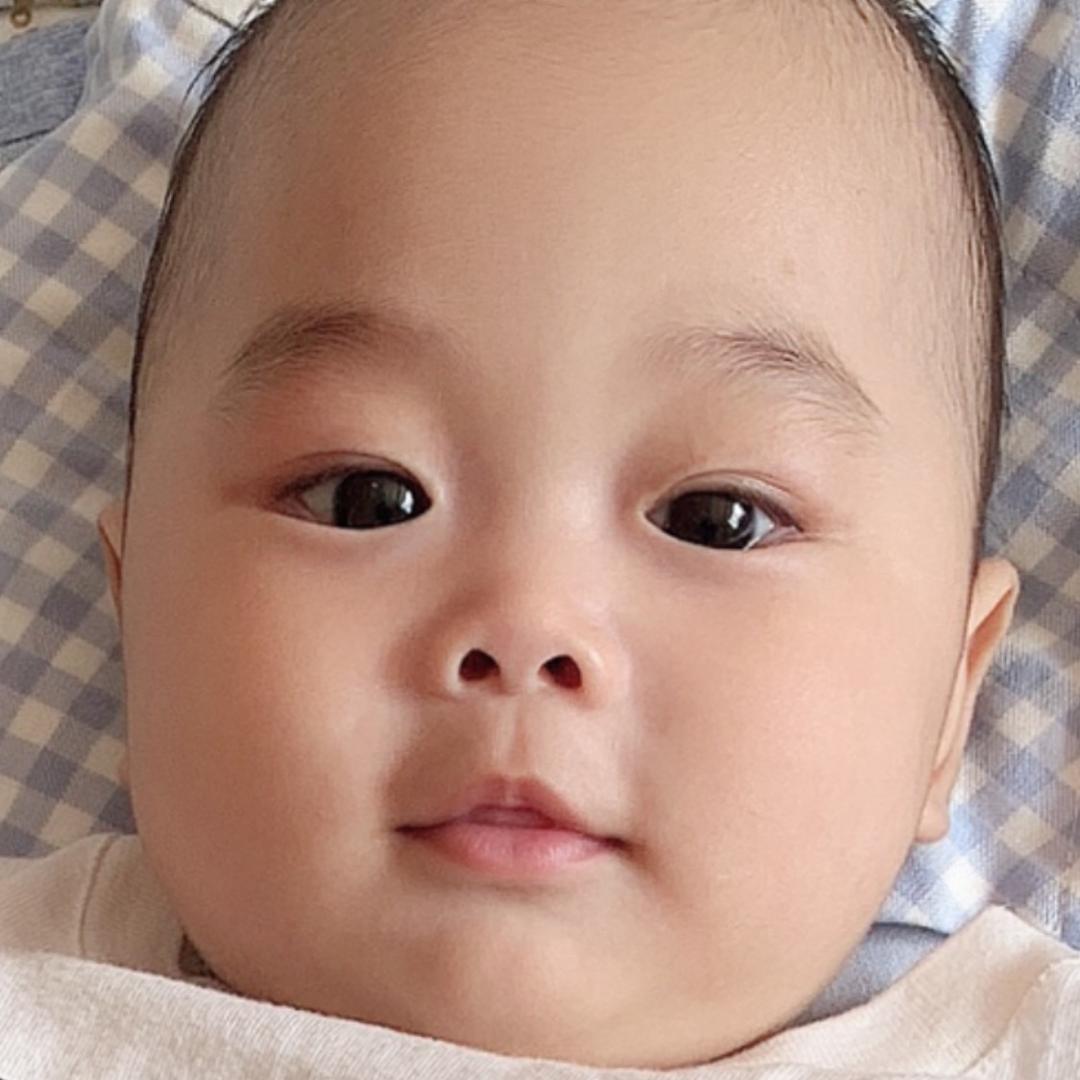 希宝
