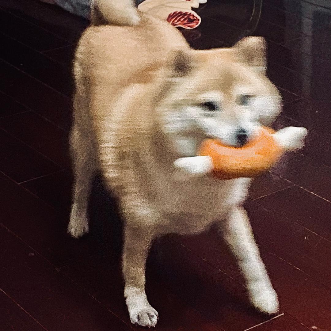 恩和🌊
