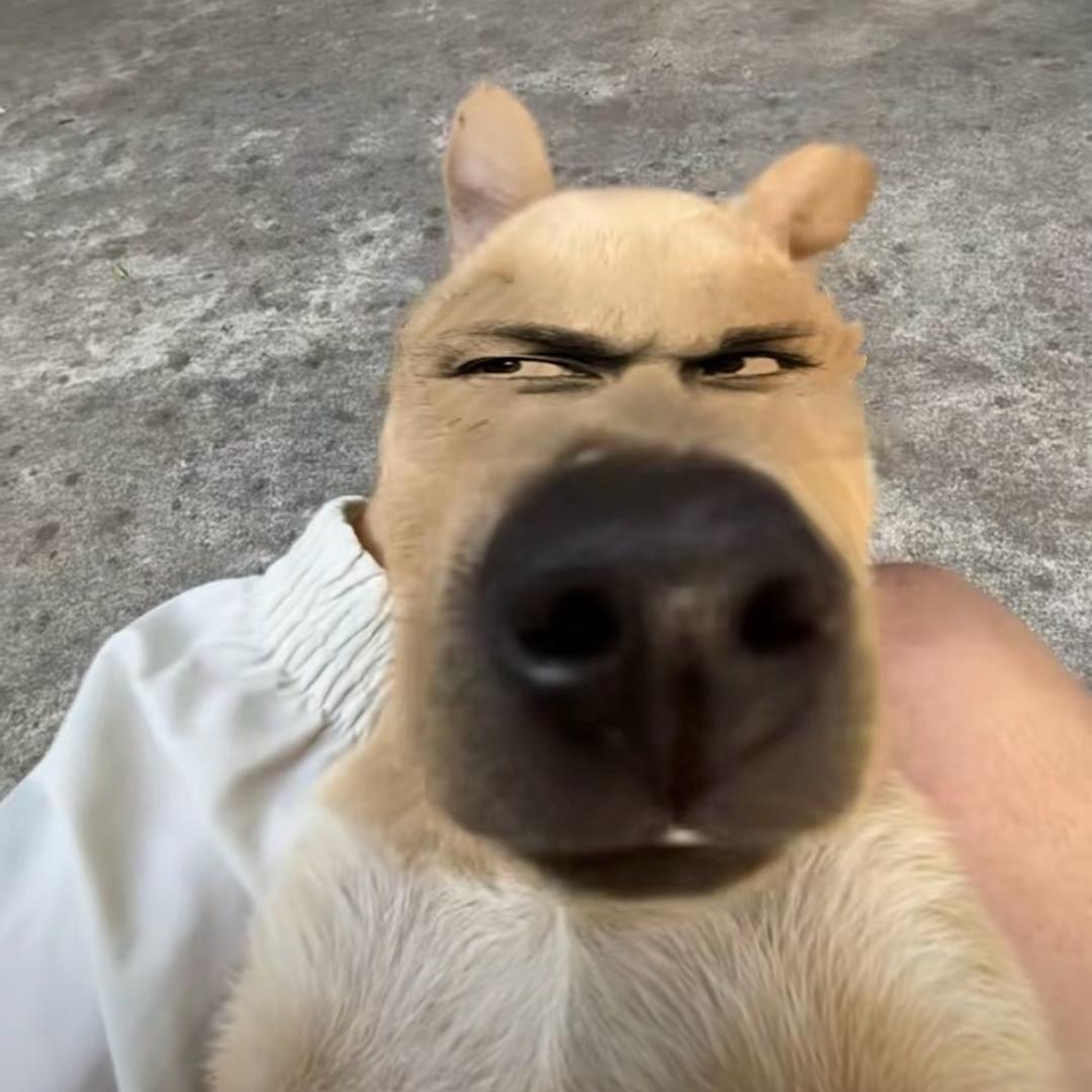 温柔de宇子.