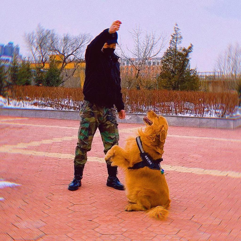 钢蛋是只神犬@抖音