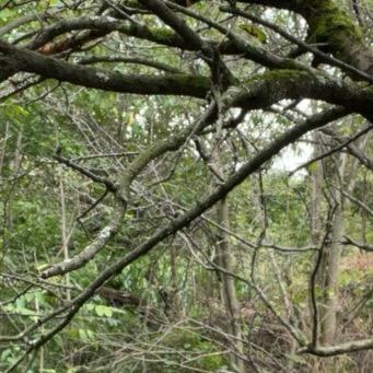 汽修全国 老杨（不闲聊）