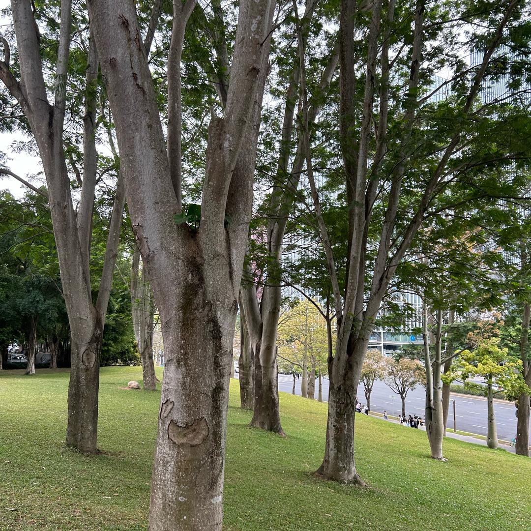 夏新音响数码甄选店