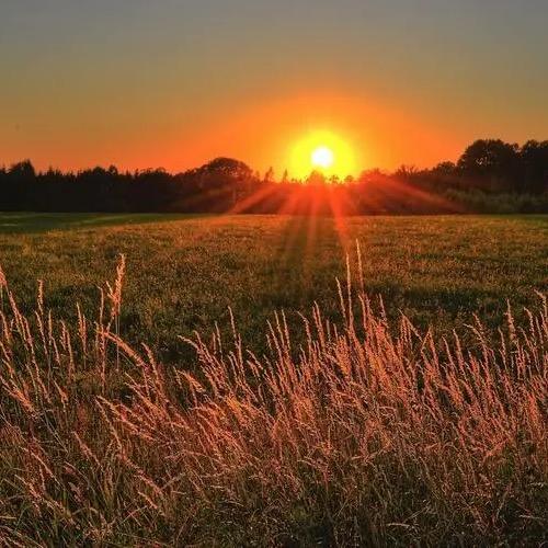 ಠ_ರೃ®️🇫🇯🧱