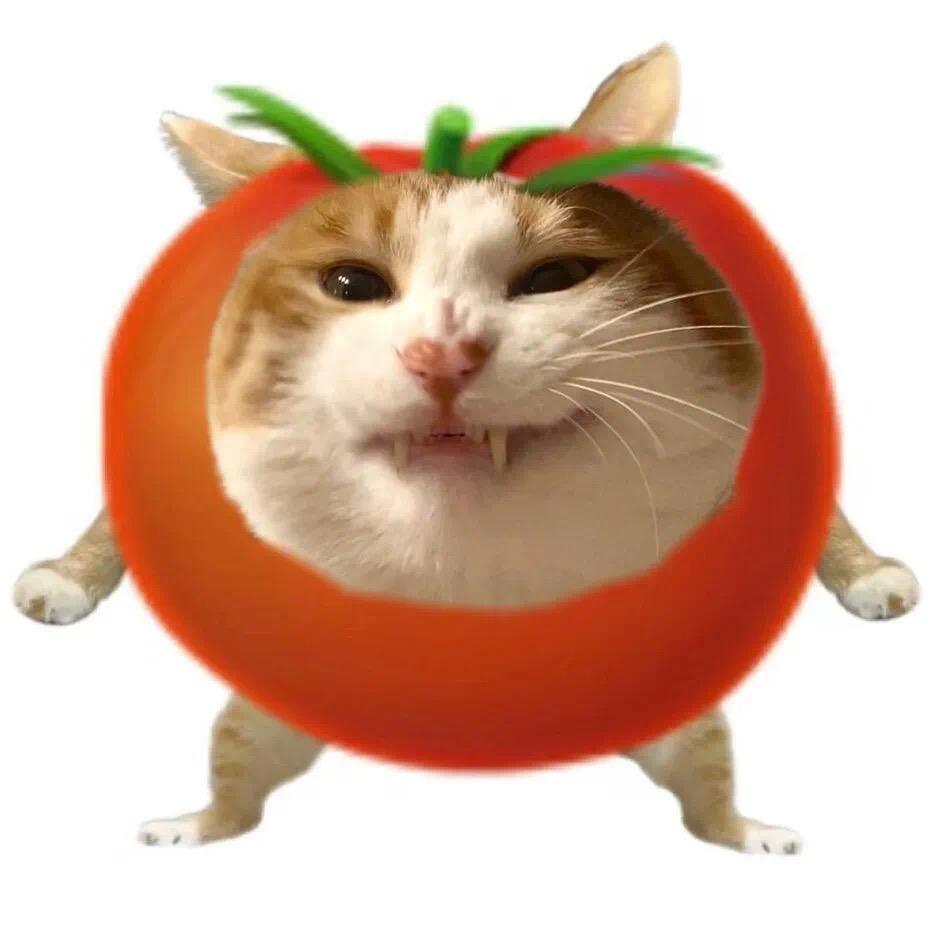 昭昭