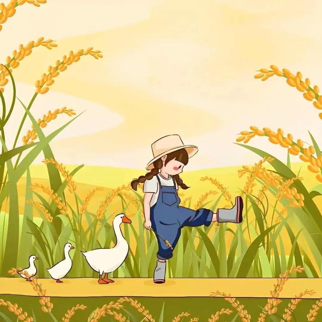 小贝爱种植