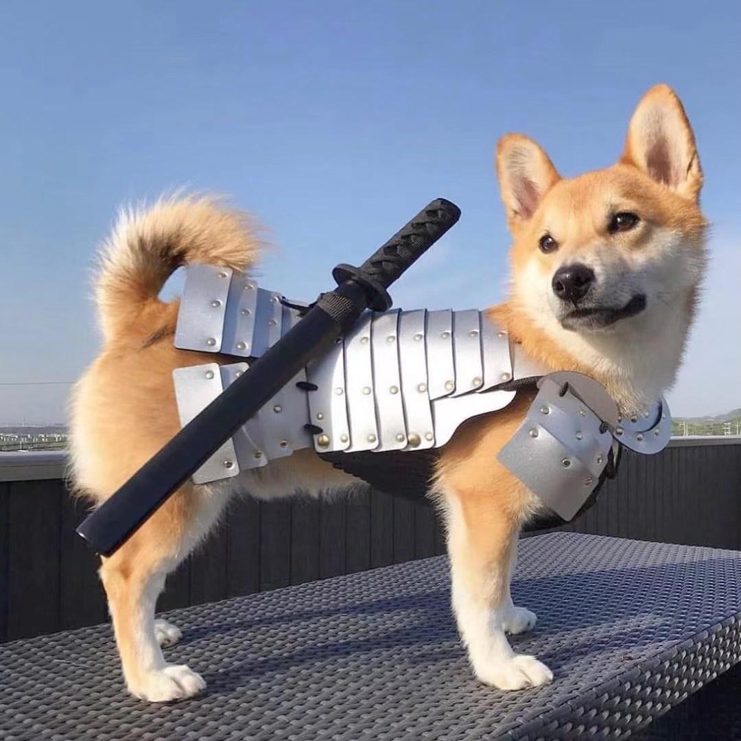 欽qqq