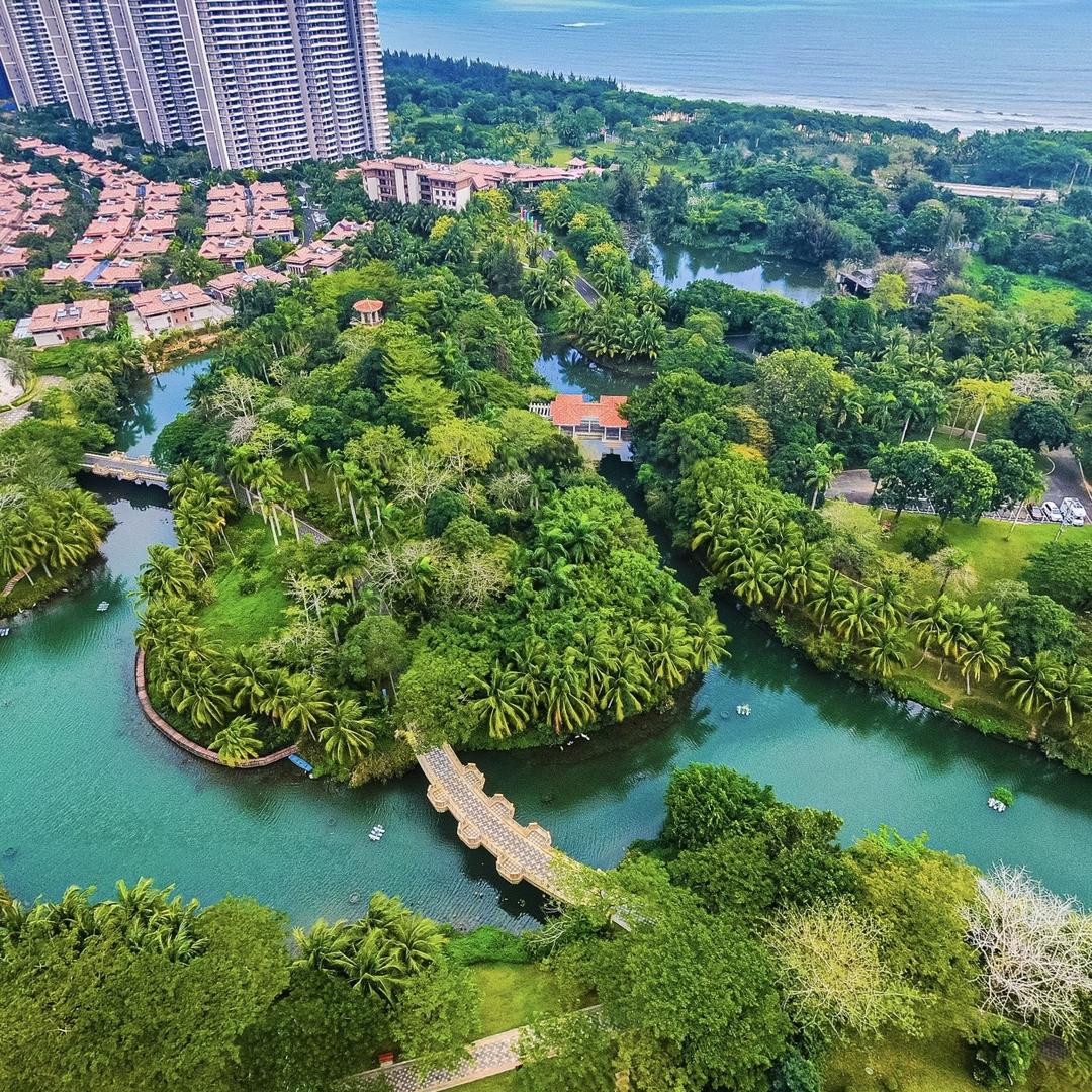 阿正海南果园基地