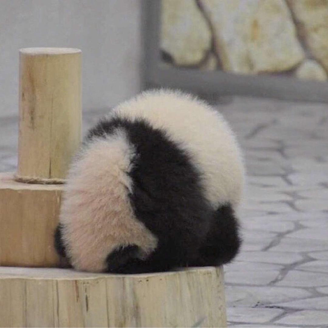 溜溜笛不是⑨